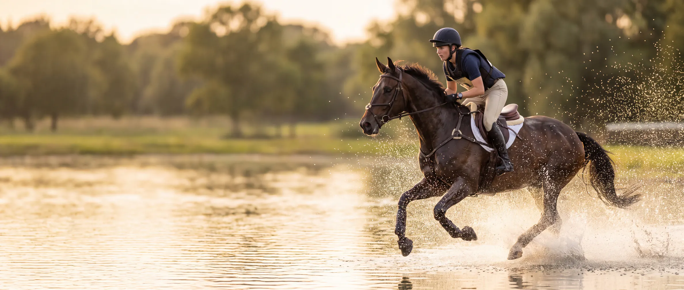 Rytter og sportshest i galopp gjennom vannet på en feltrittsbane
